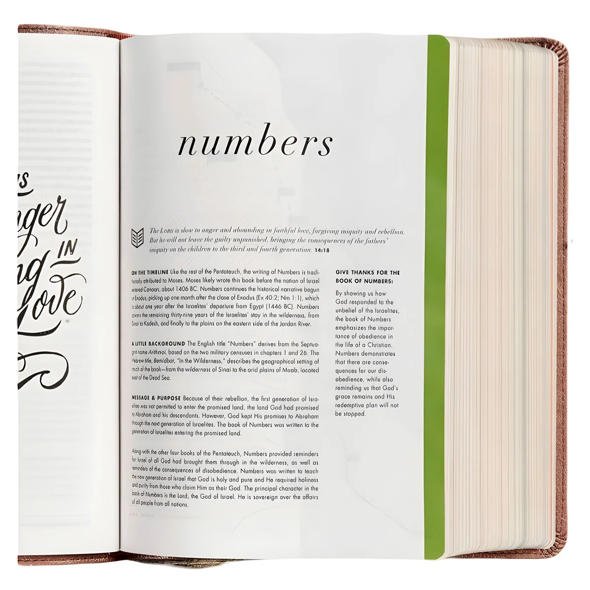 CSB Rose Gold Imitation Leather She Reads Truth Bible - Image 5