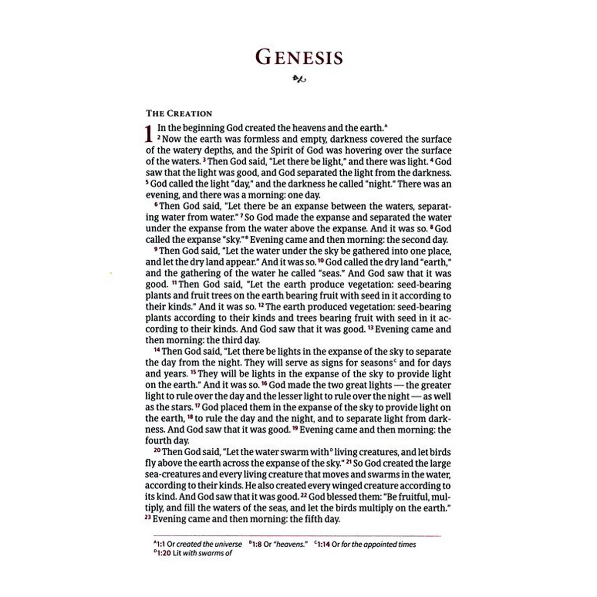 CSB Single Column Wide Margin Bible Brown (Imitation Leather) - Image 4
