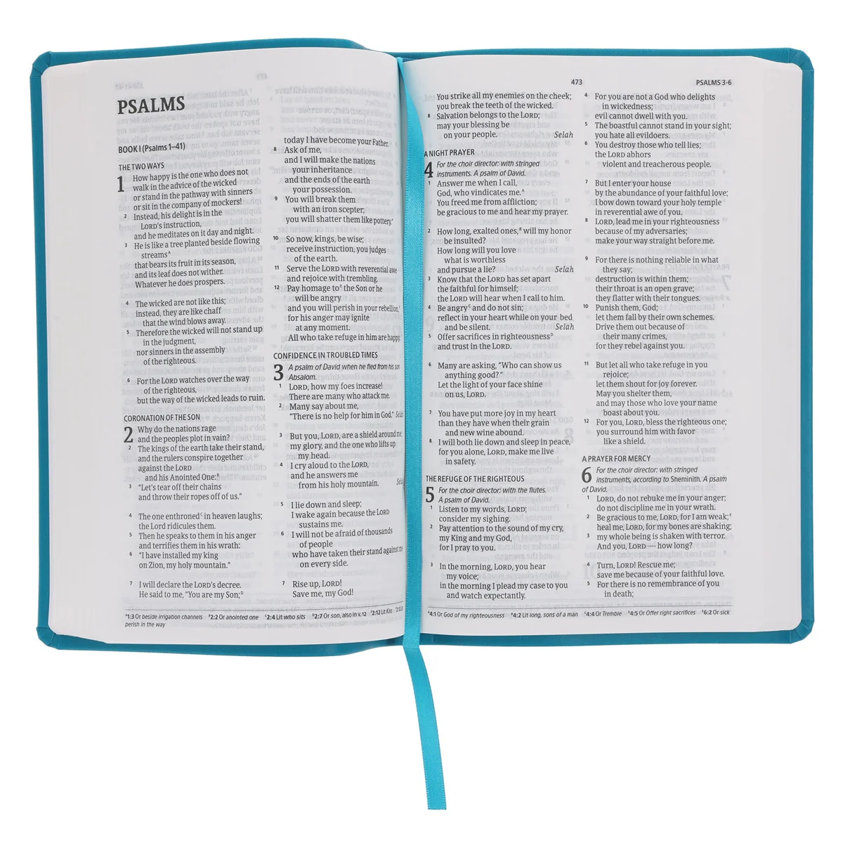 CSB Teal Imitation Leather Standard Bible - Image 5