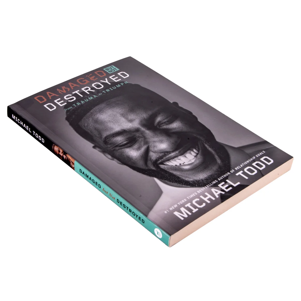 Damaged But Not Destroyed: From Trauma To Triumph (Paperback) - Image 4