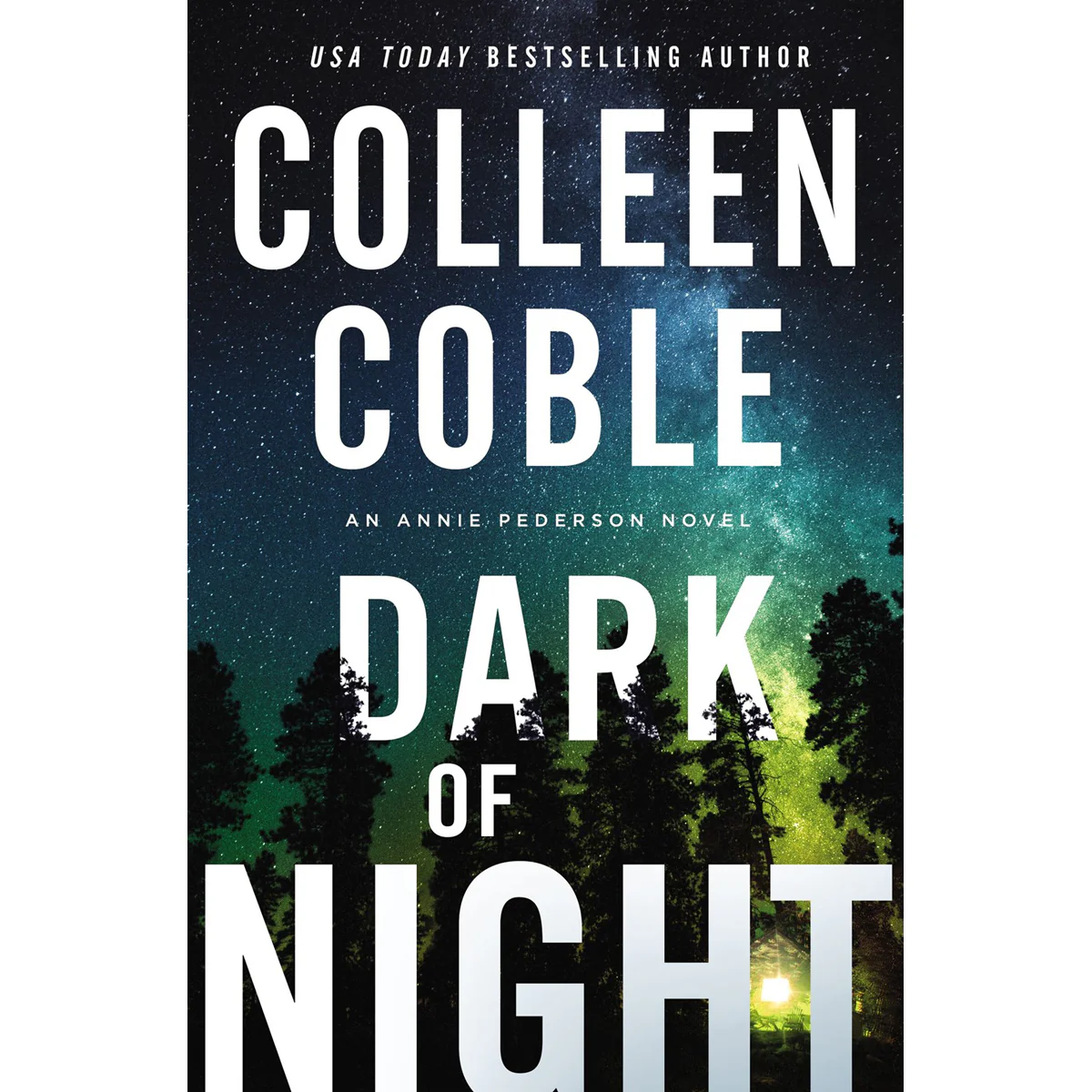 Dark Of Night (2 An Annie Pederson Novel)(Paperback)