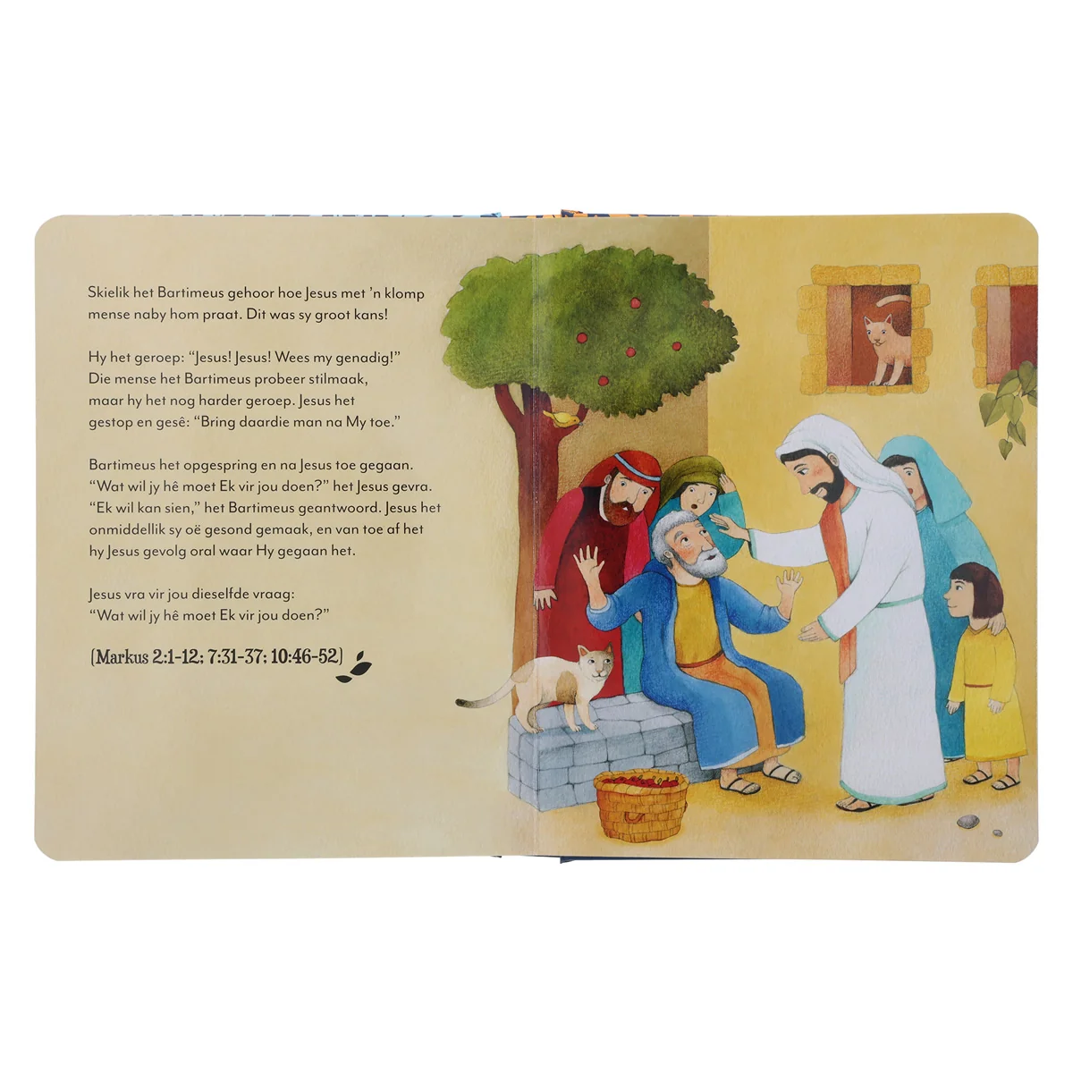 Die Prentebybel Vir Kleingoed (Hardeband) - Image 7