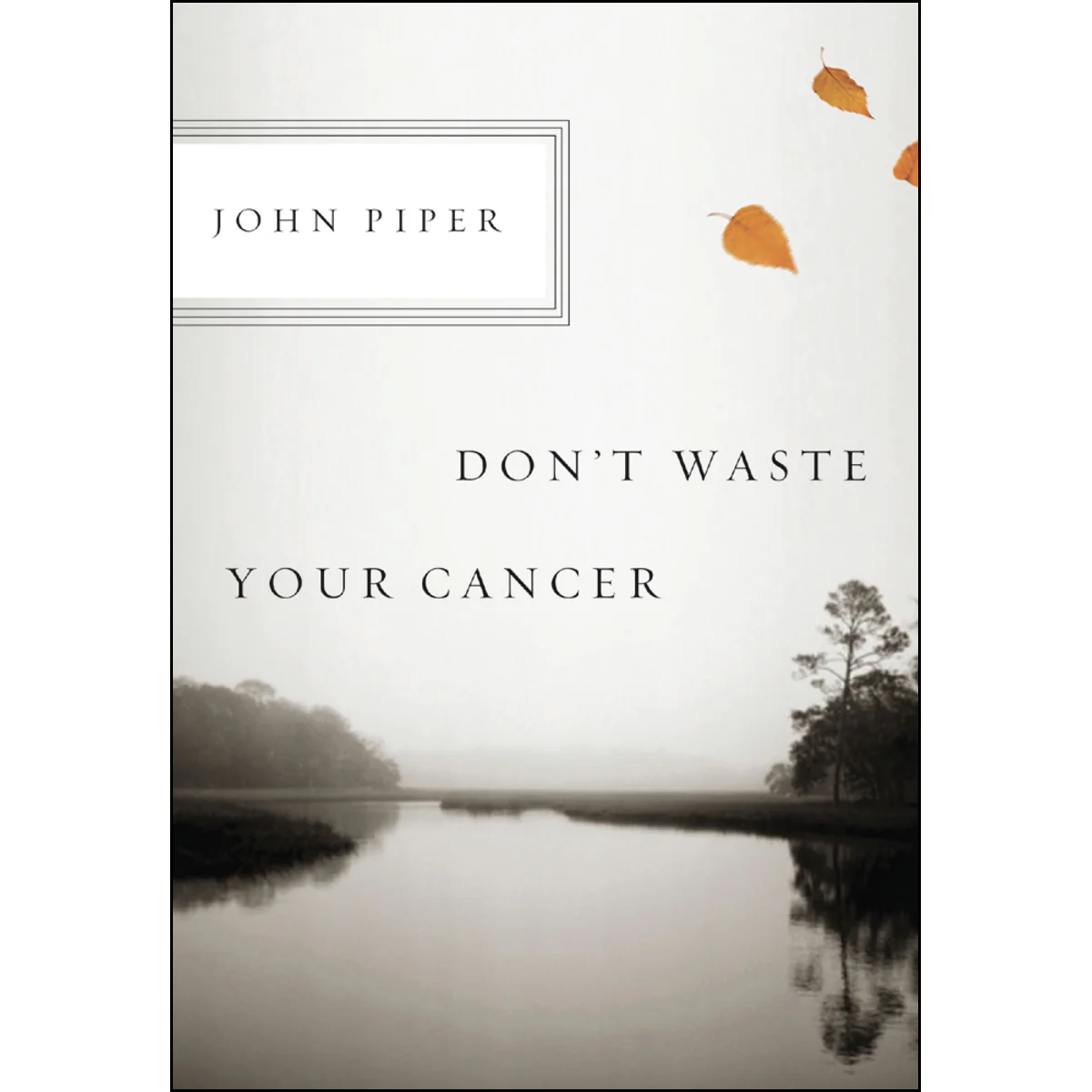 Don't Waste Your Cancer (Spiral Bound)