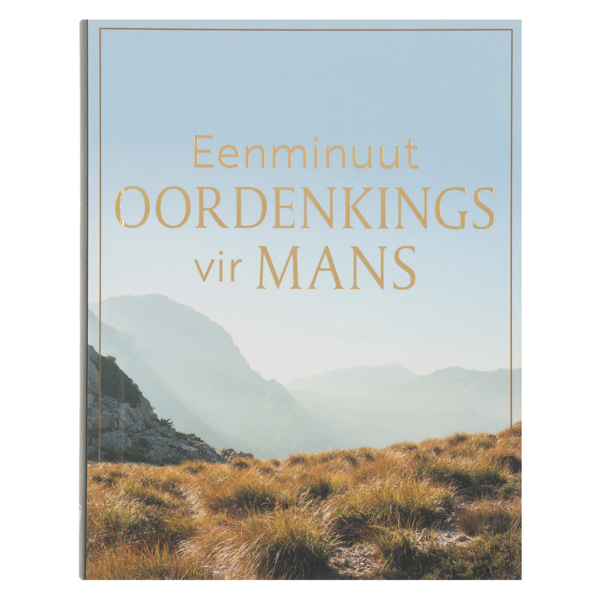 Eenminuut-Oordenkings vir Mans (Sagteband)