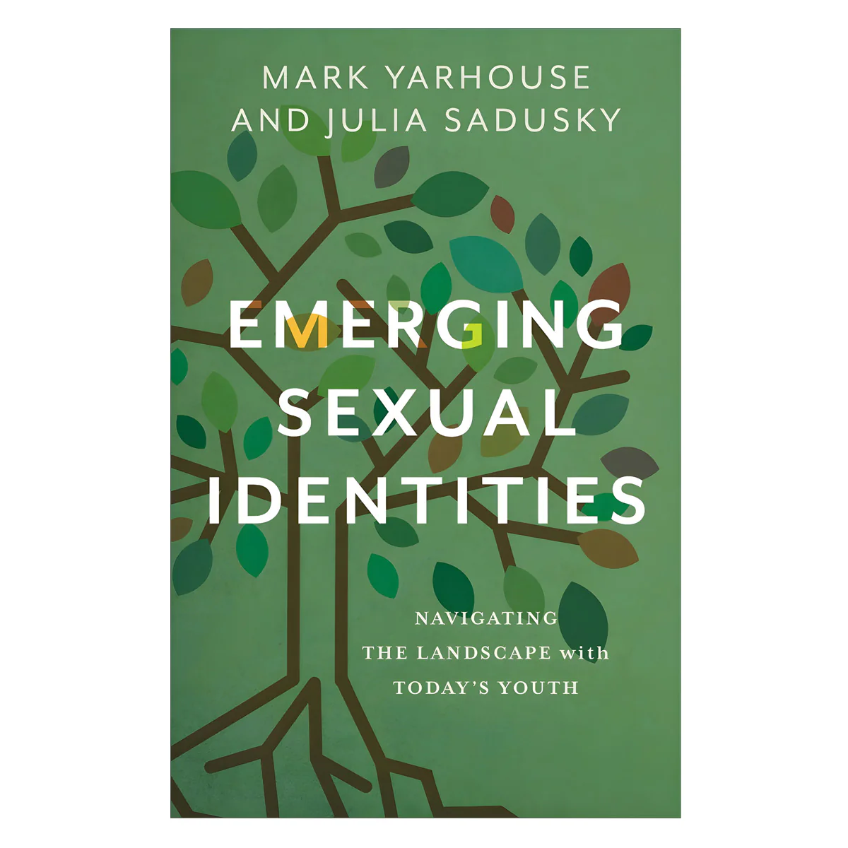 Emerging Sexual Identities: Navigating the Landscape with Today's Youth (Paperback)