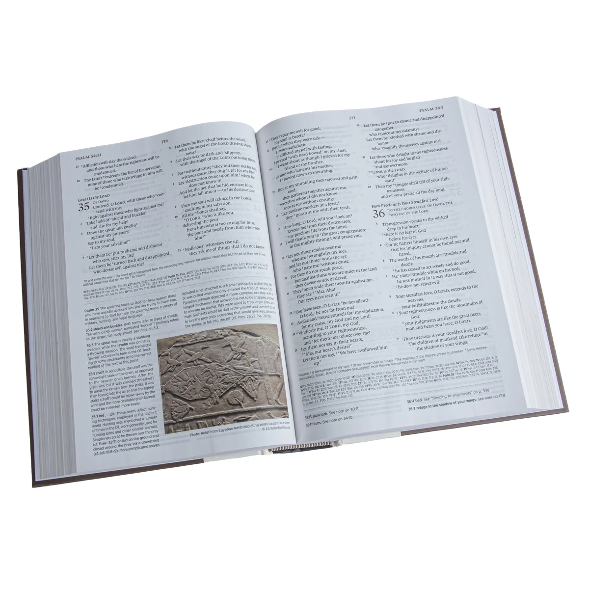 ESV Archaeology Study Bible (Hardcover) - Image 5