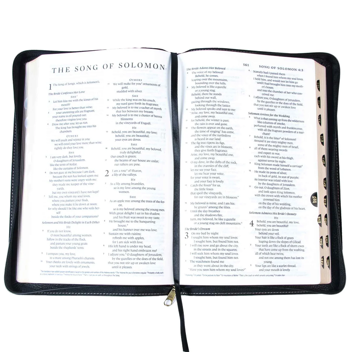 ESV Black Faux Leather Standard Bible Thumb Indexed With Zip - Image 5