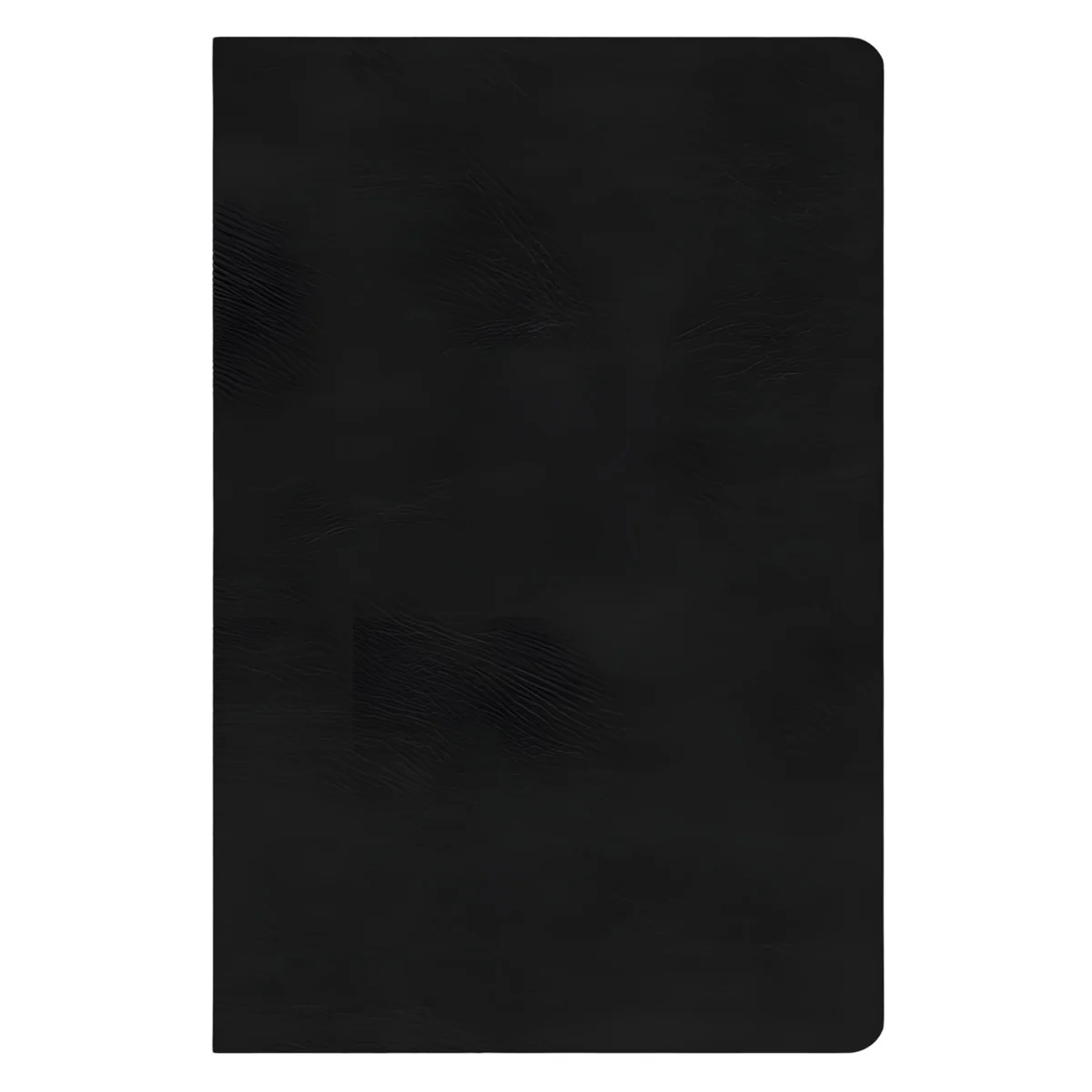ESV Black Imitation Leather Value Compact Bible - Image 2