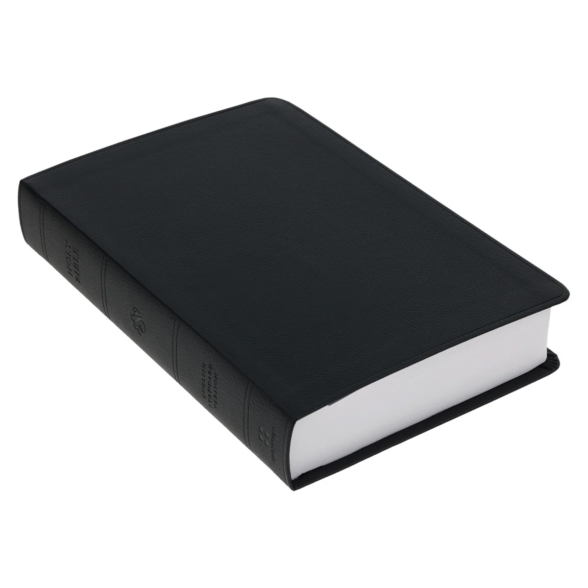ESV Black Imitation Leather Value Personal Size Bible Giant Print - Image 3