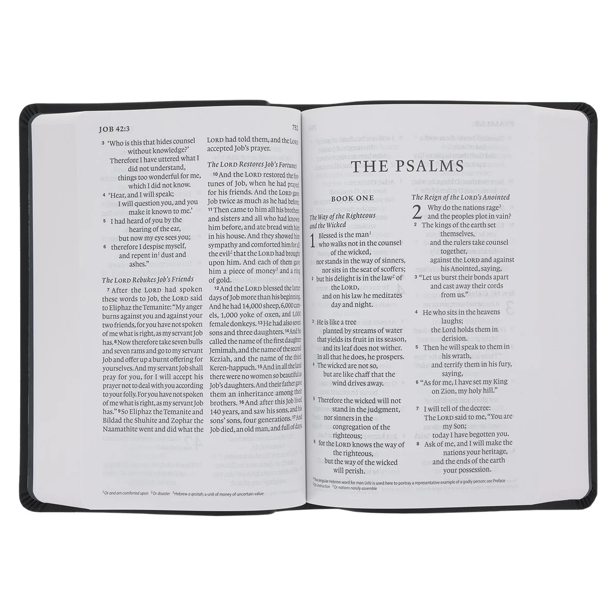 ESV Black Imitation Leather Value Personal Size Bible Giant Print - Image 5