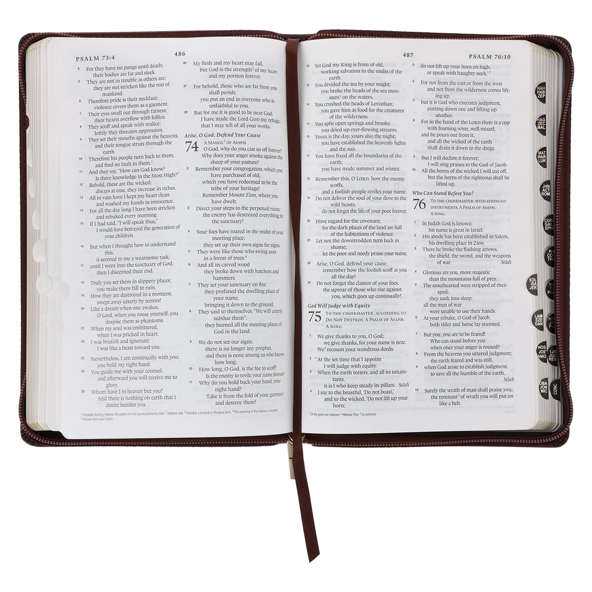 ESV Dark Brown Faux Leather Standard Bible Thumb Indexed With Zip - Image 5