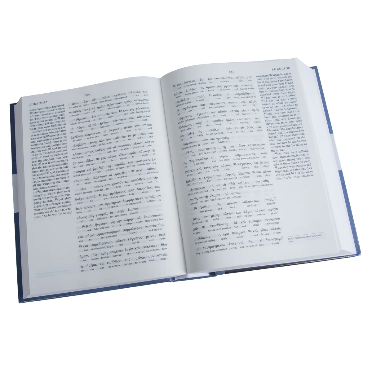 ESV Greek / English Interlinear NT NA28 / ESV (Hardcover) - Image 4