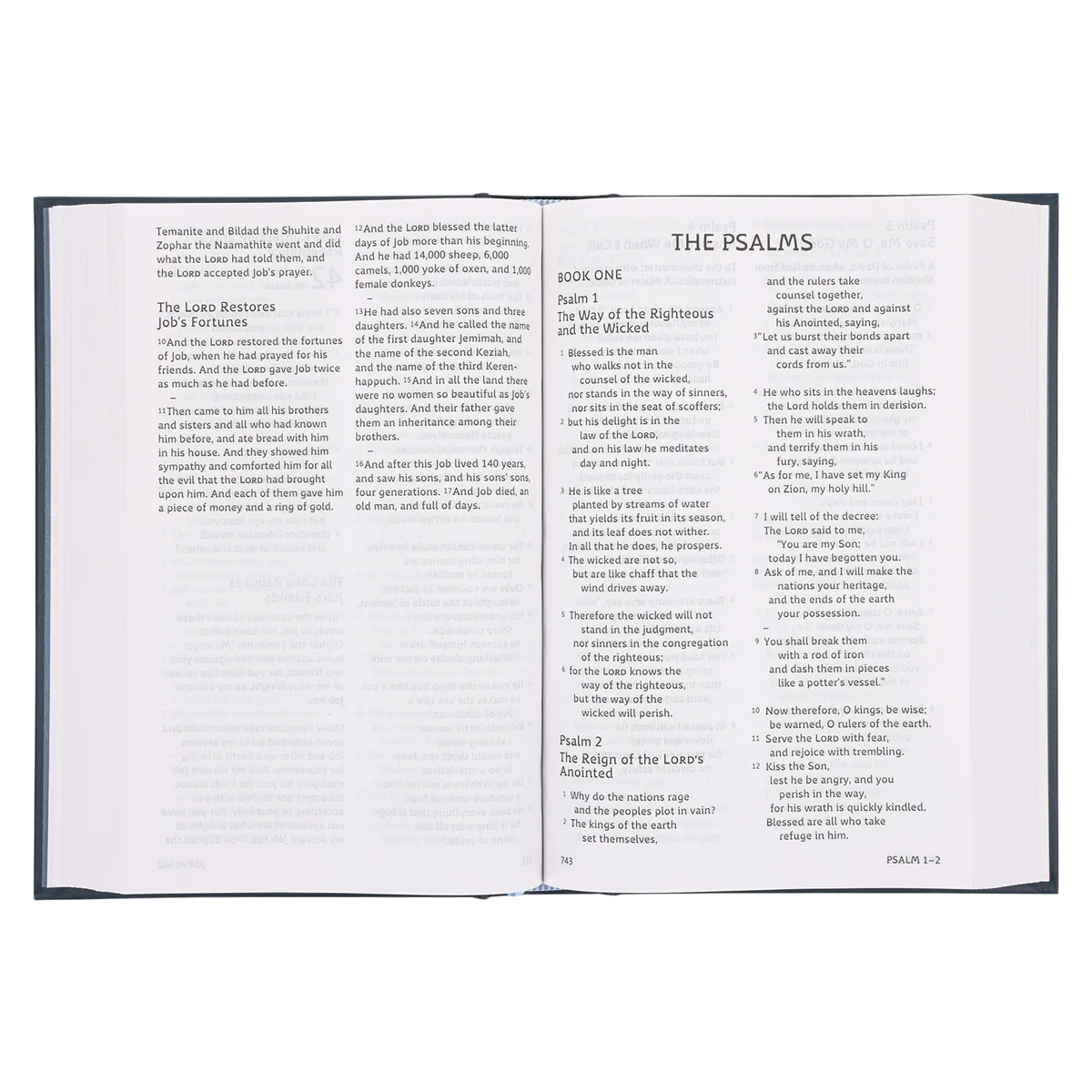 ESV Hardcover Dyslexia-Friendly Edition Holy Bible - Image 4