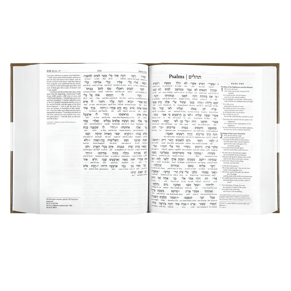 ESV Hebrew-English Interlinear Old Testament (Hardcover) - Image 2