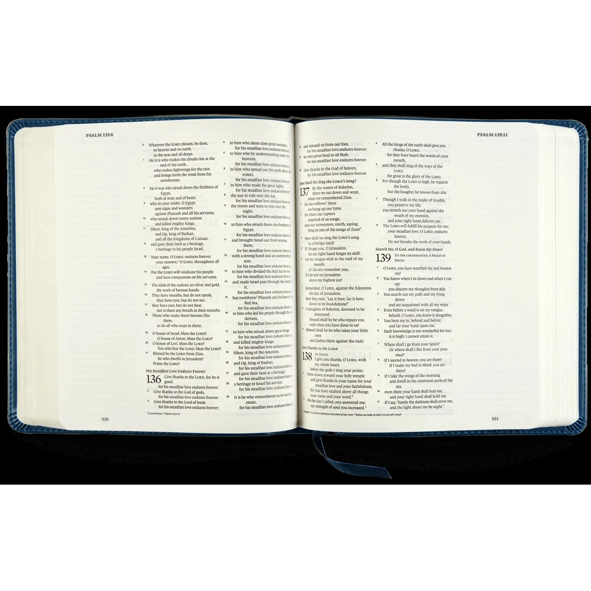 ESV Journaling Bible Fleur-De-Lis Design Deep Teal (Imitation Leather) - Image 2