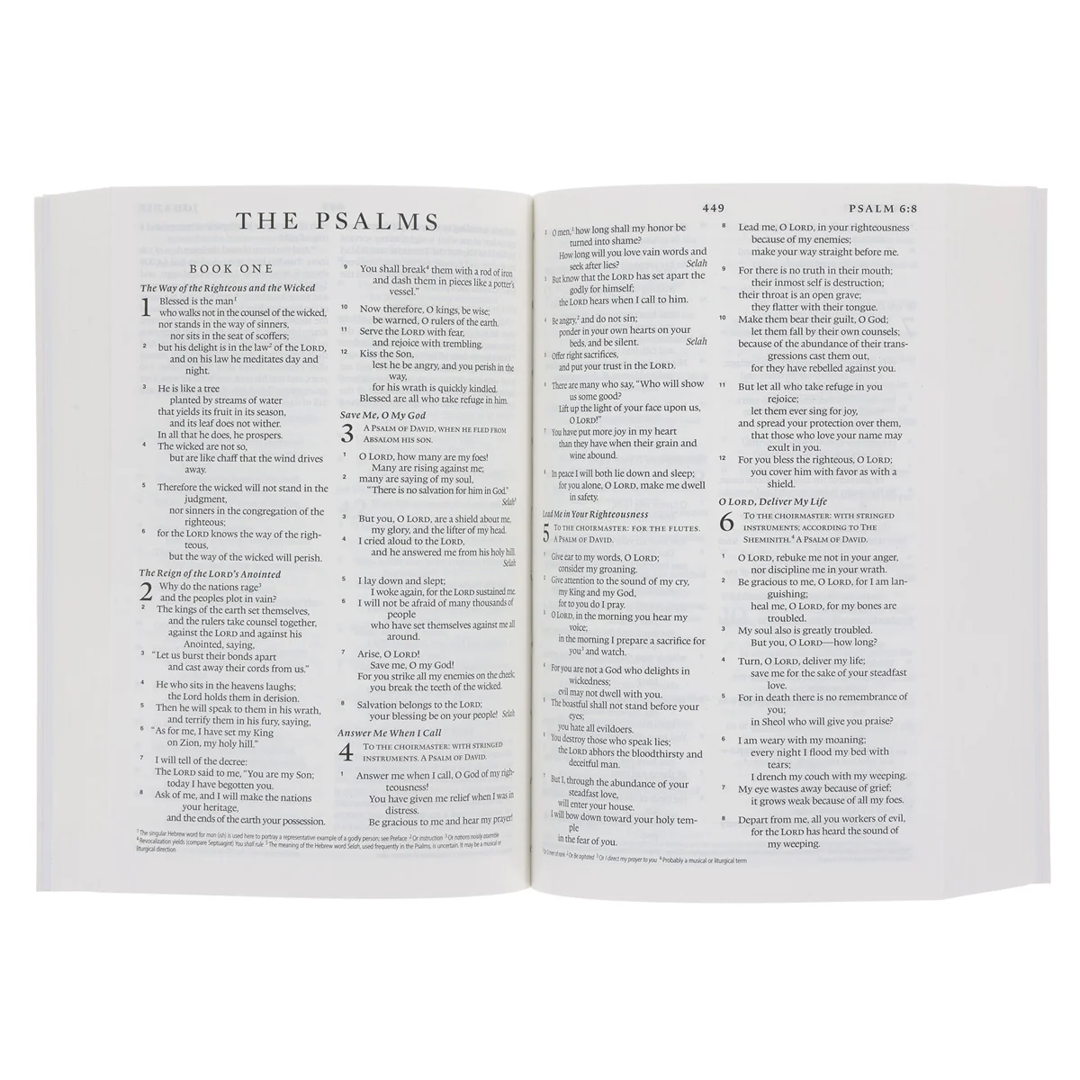 ESV Lion Paperback Compact Bible - Image 4