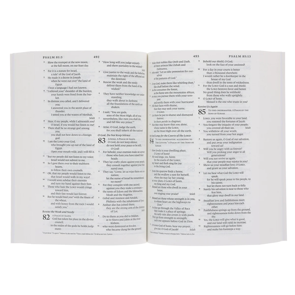ESV Lion Paperback Compact Bible - Image 5