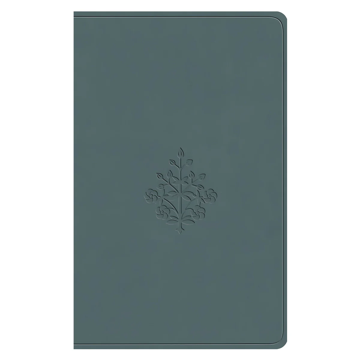 ESV Paris Sky Branch Design Imitation Leather Value Compact Bible
