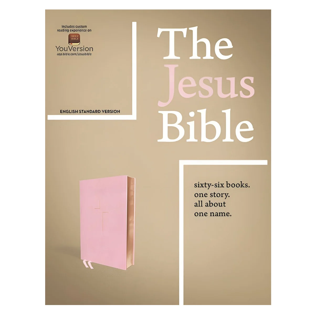 ESV Pink Hardcover The Jesus Bible - Image 2