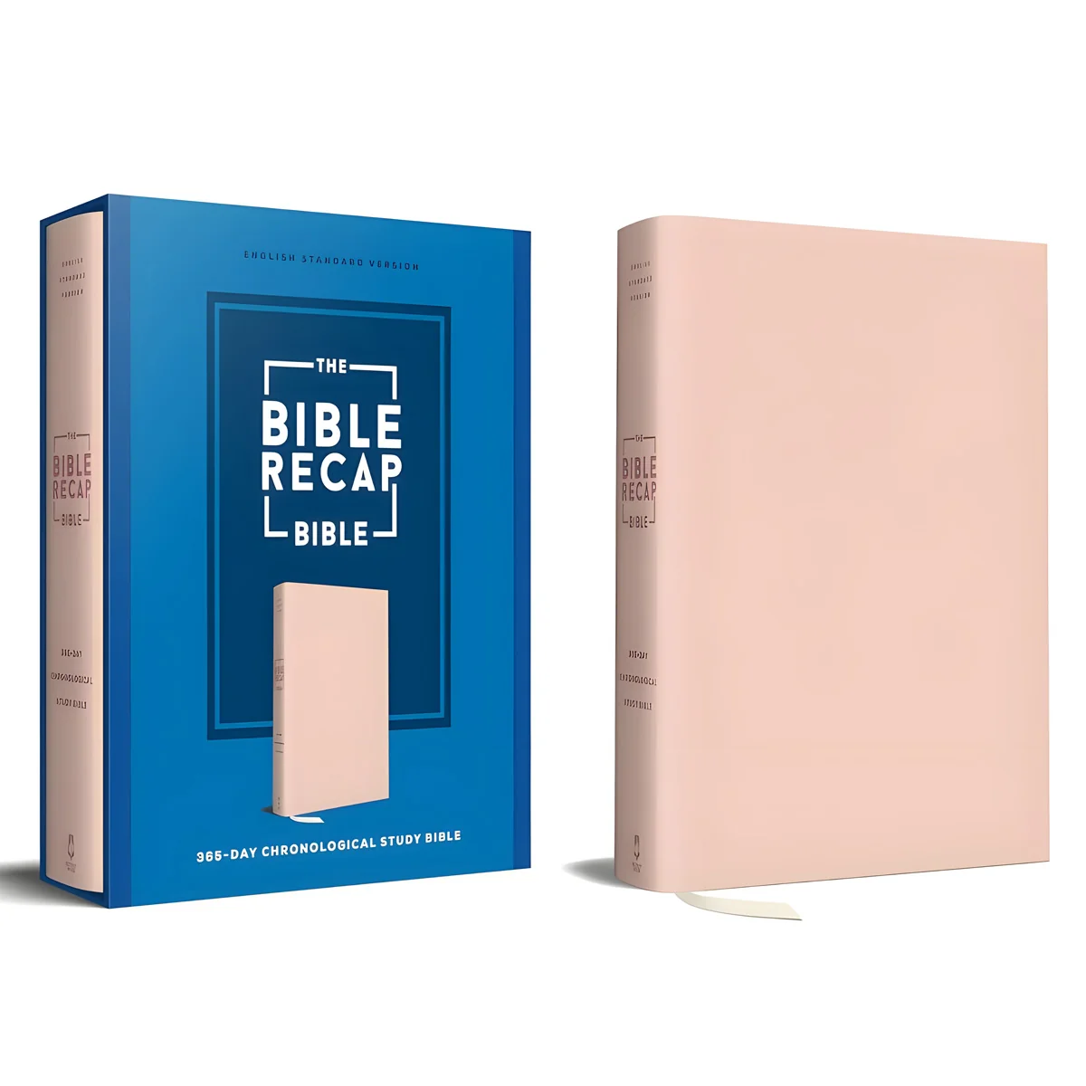 ESV Pink Imitation Leather The Bible Recap 365-Day Chronological Study Bible - Image 2