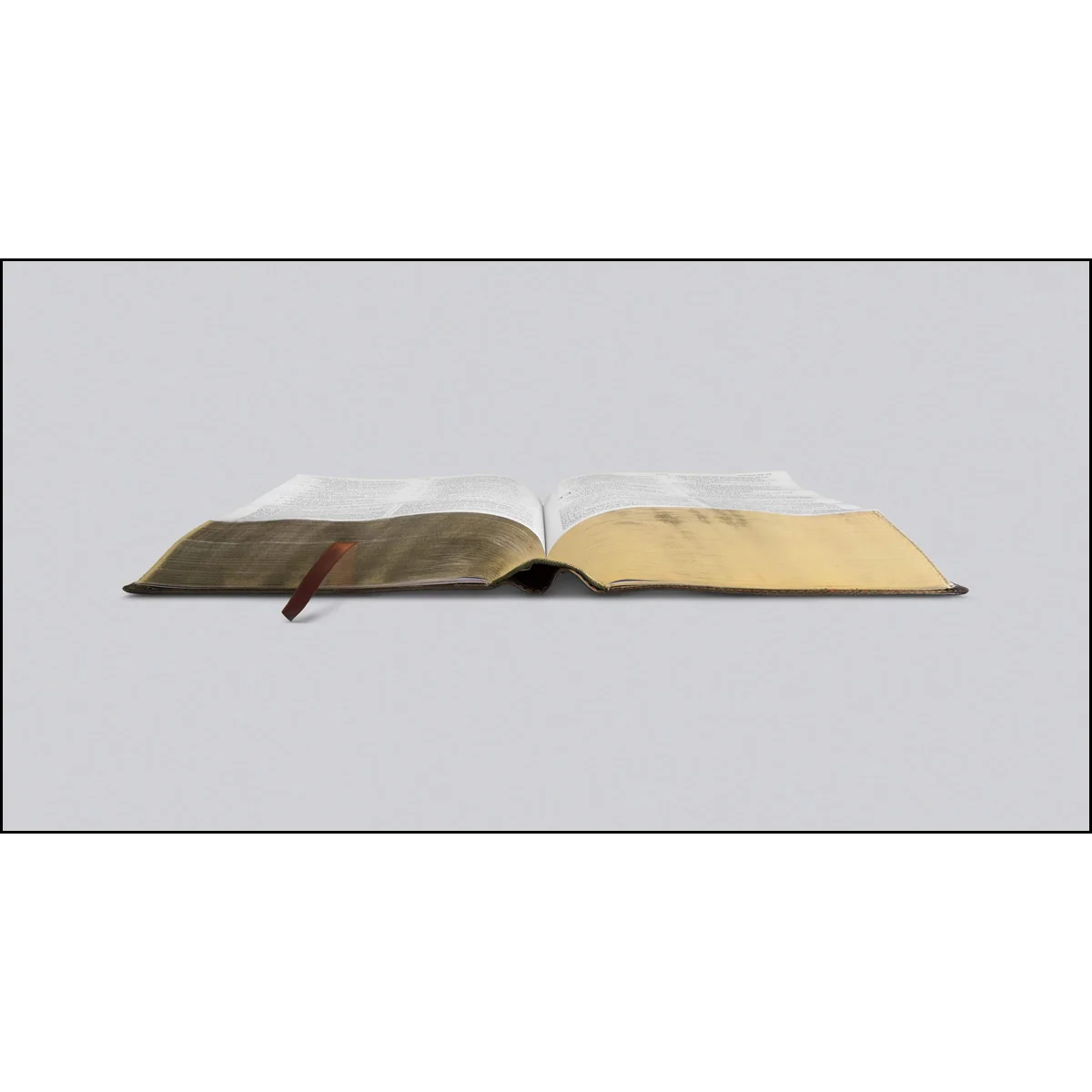 ESV Study Bible Large Print Forest / Tan Trail Design (Imitation Leather) - Image 3