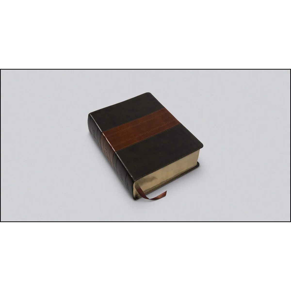 ESV Study Bible Large Print Forest / Tan Trail Design (Imitation Leather) - Image 5