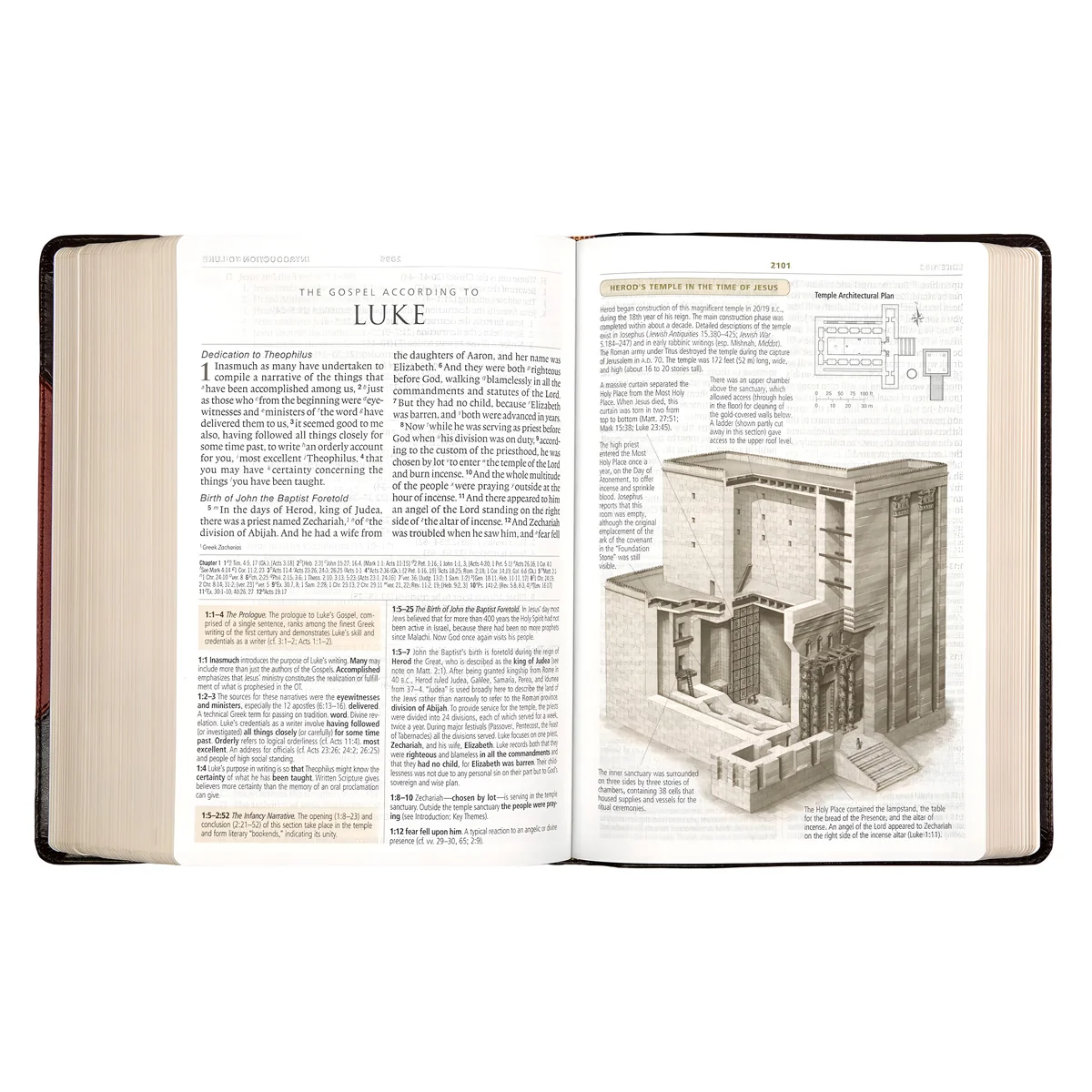 ESV Study Bible Large Print (Trutone Brown / Cordovan Portfolio Design)(Imitation Leather) - Image 3