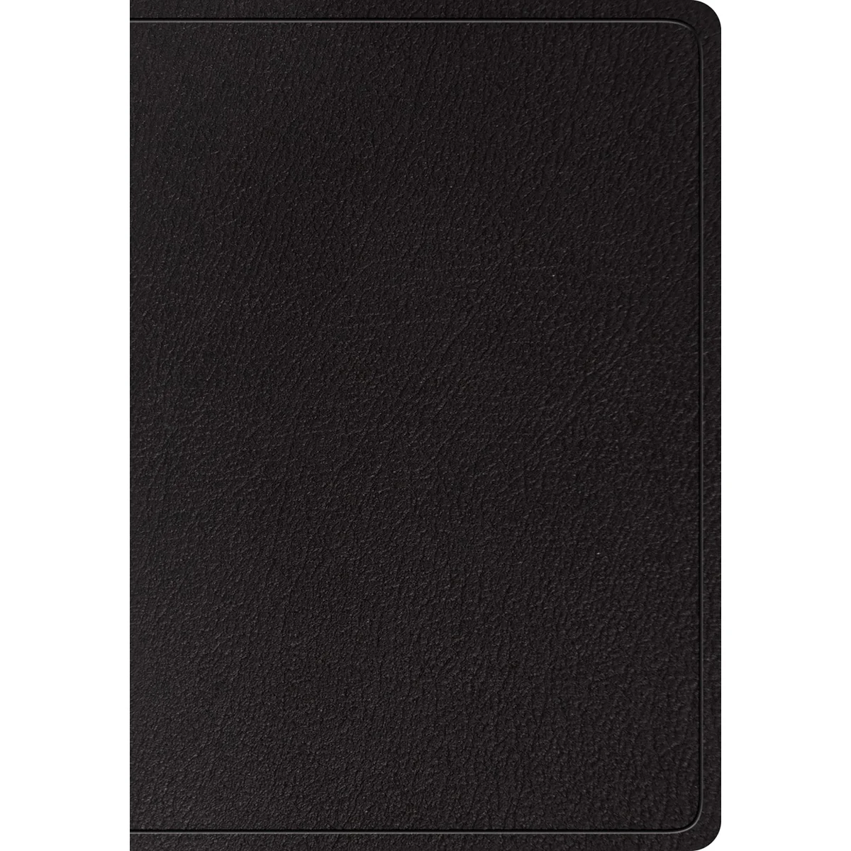 ESV Super Giant Print Bible Black (Genuine Leather)