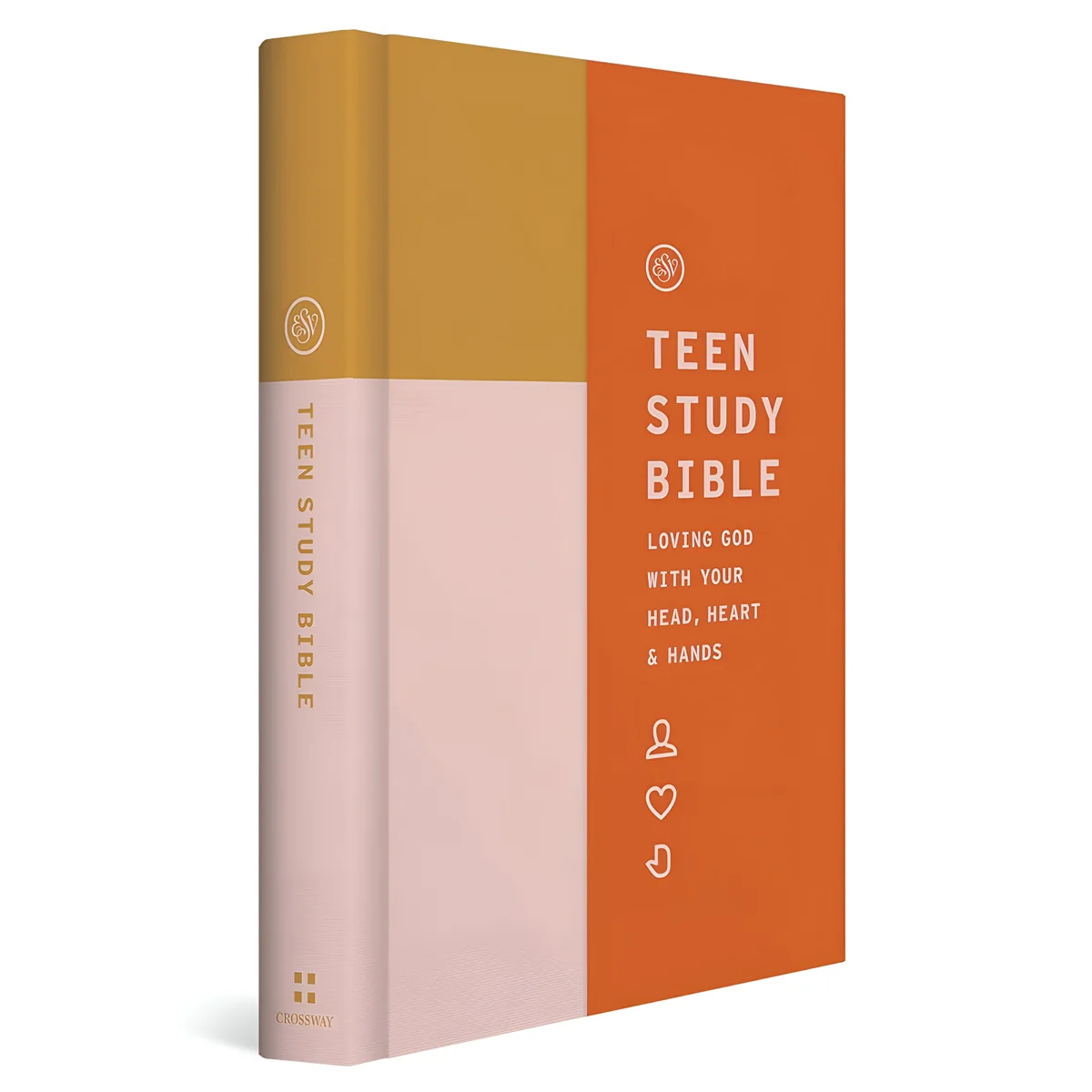 ESV Teen Study Bible Desert Sun (Hardcover) - Image 2