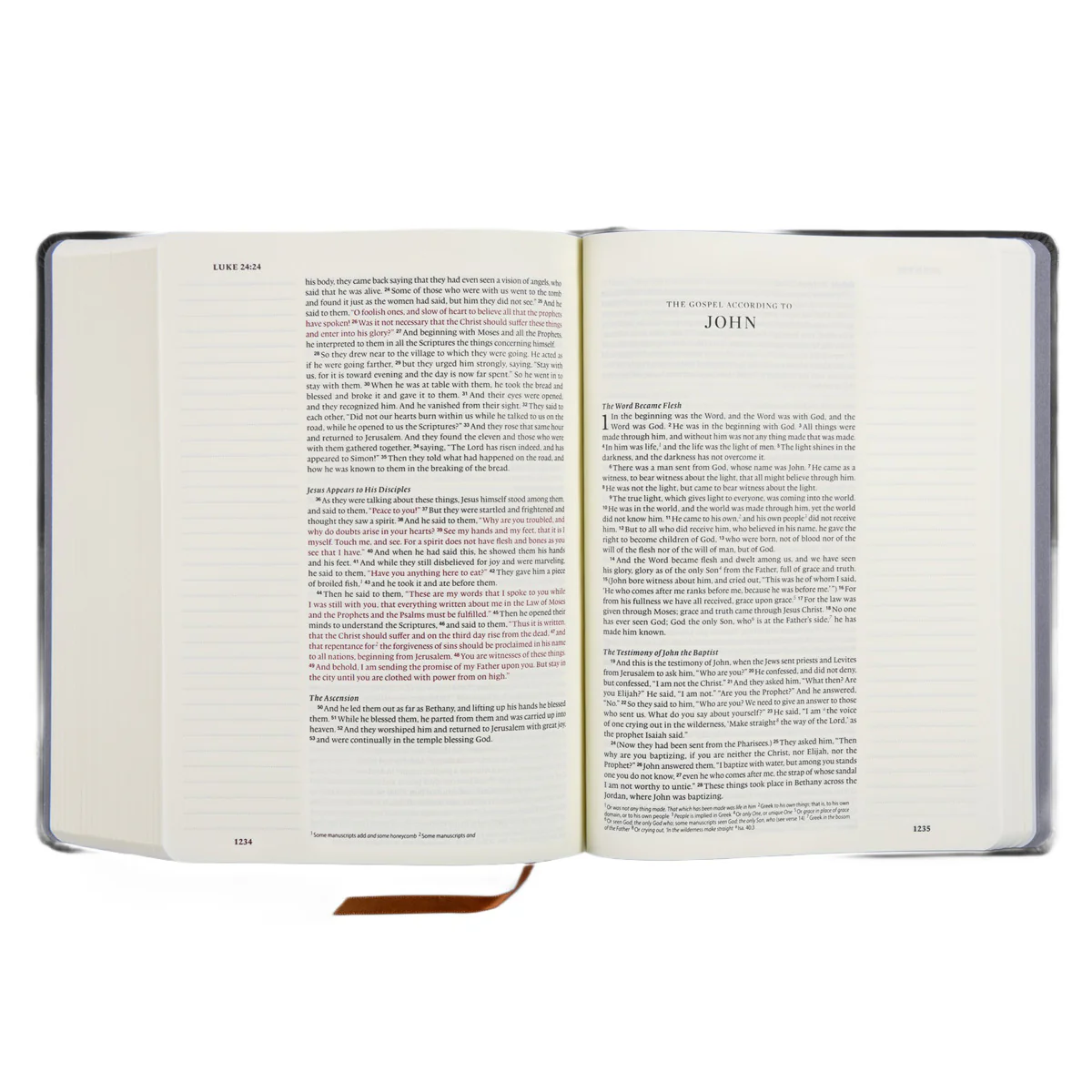 ESV the Lion and the Lamb Hardcover Single Column Journaling Bible Red Letter - Image 3