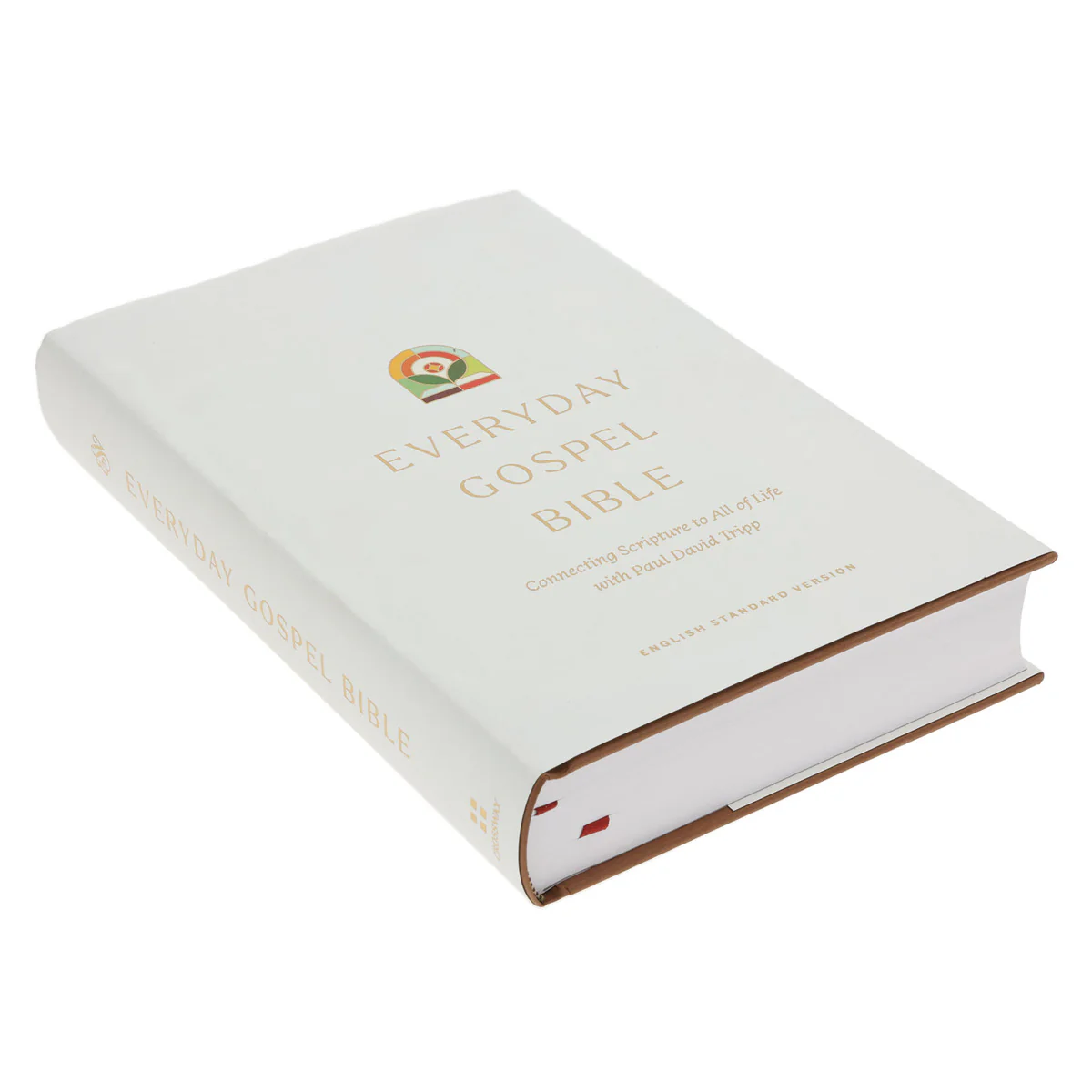ESV White Hardcover Everyday Gospel Bible - Image 3