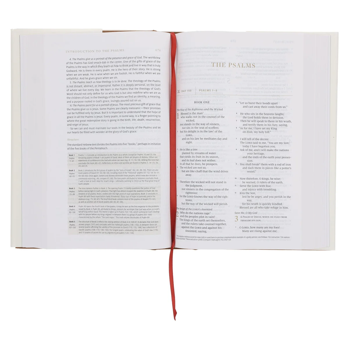 ESV White Hardcover Everyday Gospel Bible - Image 4
