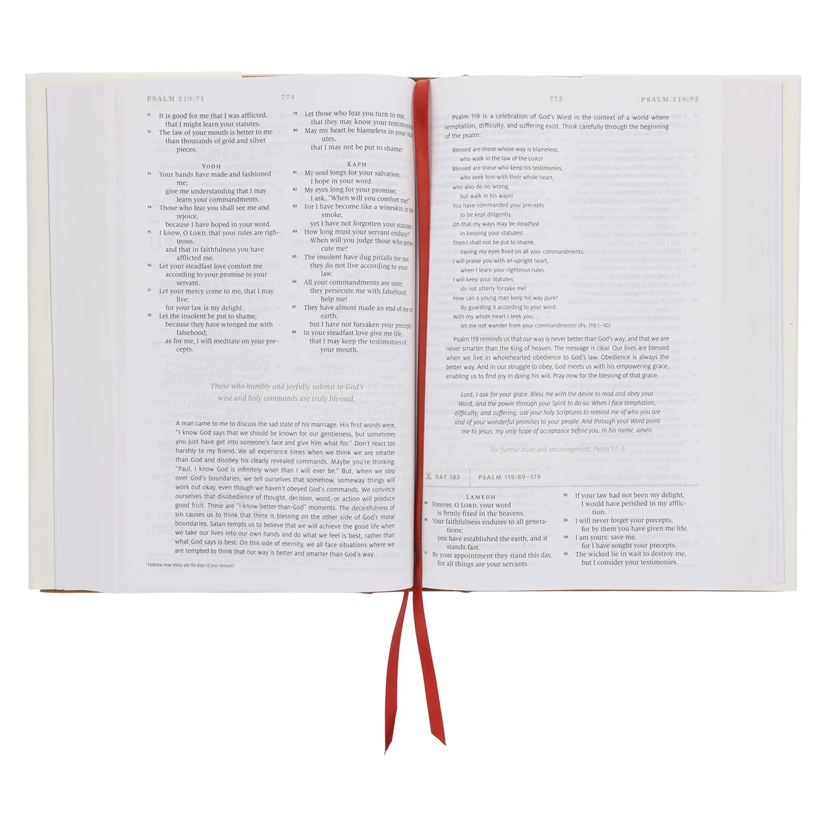 ESV White Hardcover Everyday Gospel Bible - Image 5
