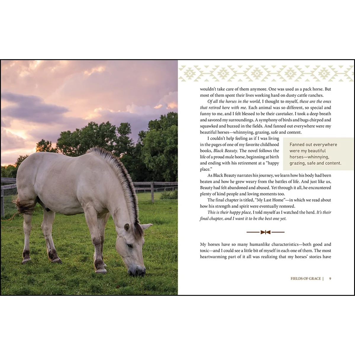 Fields Of Grace: Sharing Faith From The Horse Farm (Hardcover) - Image 2