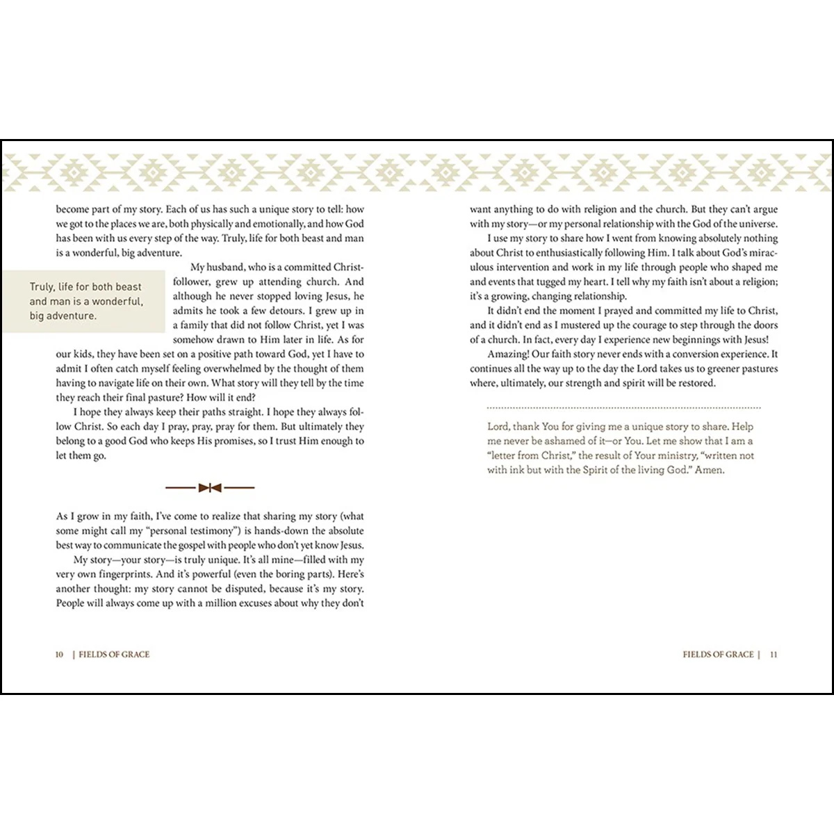 Fields Of Grace: Sharing Faith From The Horse Farm (Hardcover) - Image 3