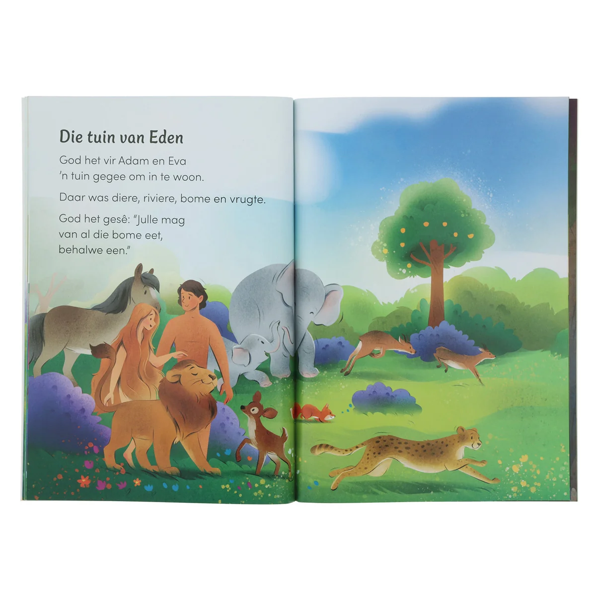 God Maak Alles - Eerste Lesers (Sagteband) - Image 5