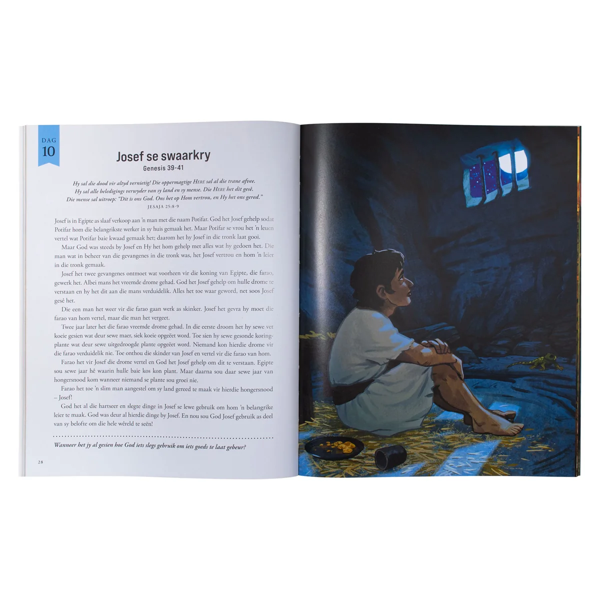 Hoekom Jesus Gekom Het: 25 Bybelstories Oor Waarom God Sy Seun Gestuur Het (Sagteband) - Image 6