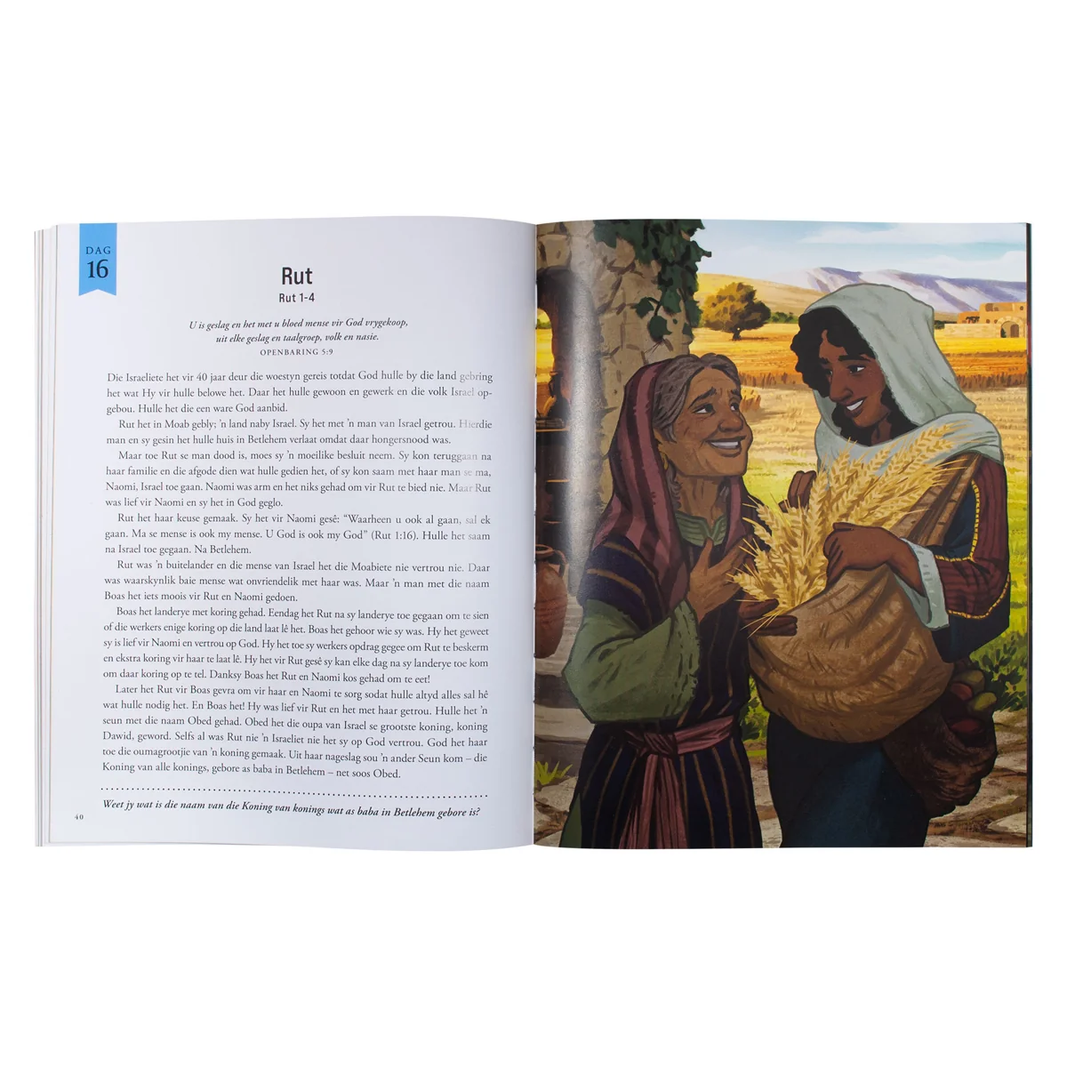 Hoekom Jesus Gekom Het: 25 Bybelstories Oor Waarom God Sy Seun Gestuur Het (Sagteband) - Image 7