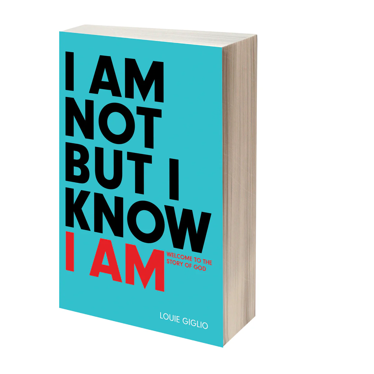 I Am Not But I Know I Am (Paperback) - Image 2