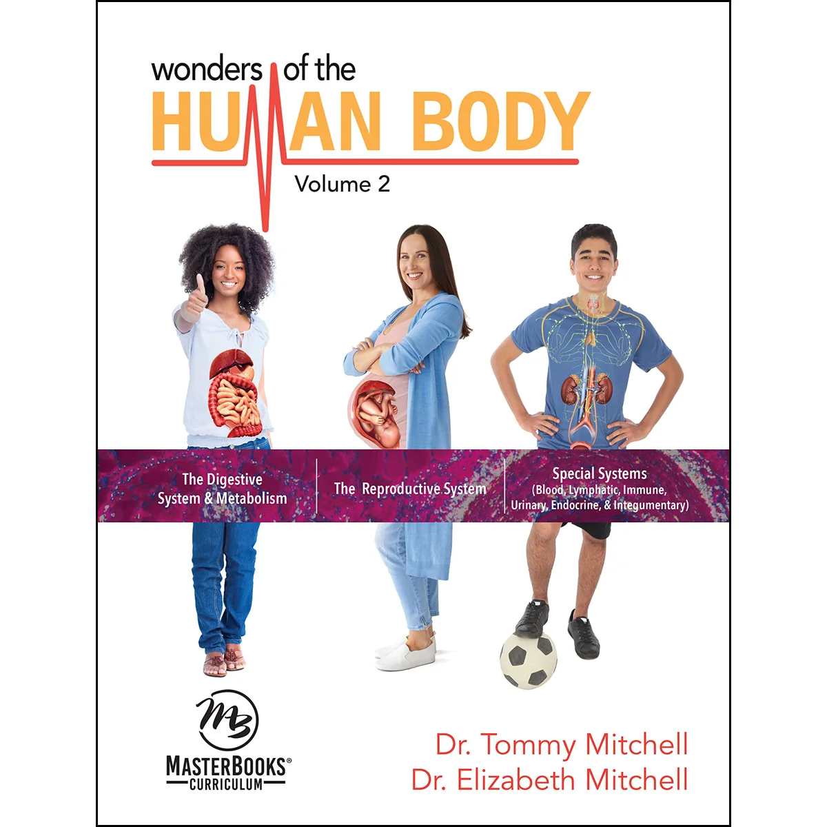 Introduction To Anatomy And Physiology Set Of 2 Books (Curriculum Kit) - Image 3