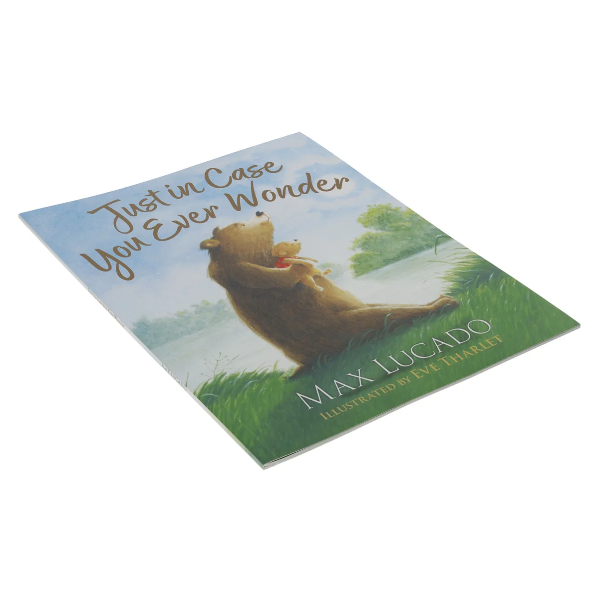 Just in Case You Ever Wonder (Paperback) - Image 3