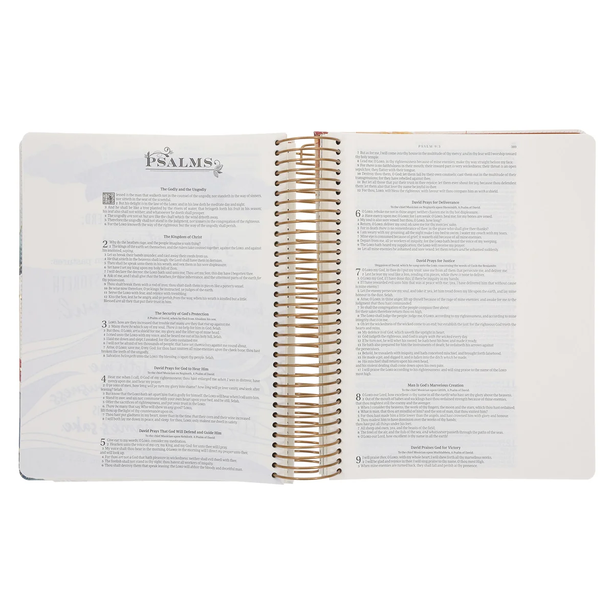 KJV Cream & Gold Leaves Spiral-Bound Faux Leather My Creative Bible Illustrators Edition - Image 5