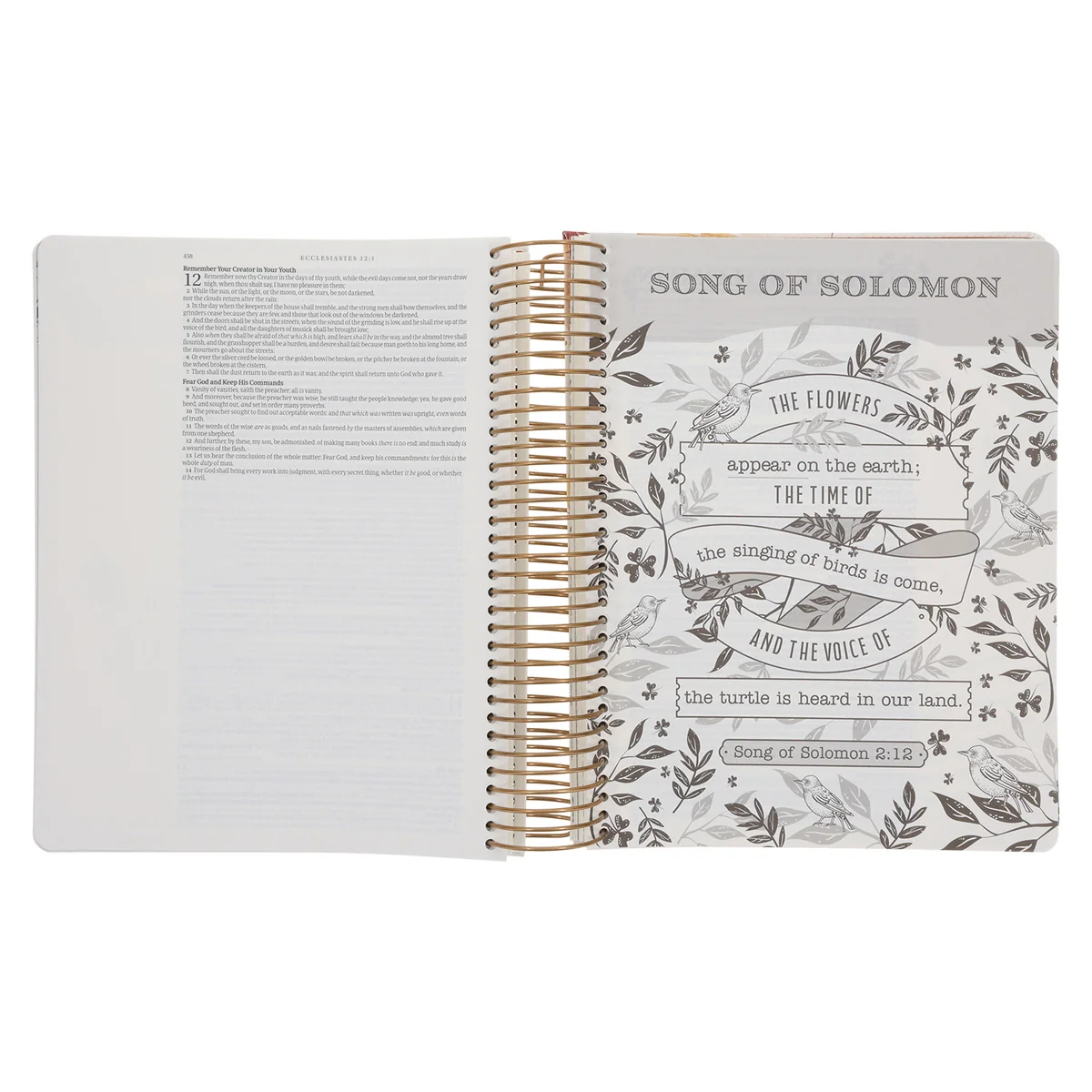 KJV Cream & Gold Leaves Spiral-Bound Faux Leather My Creative Bible Illustrators Edition - Image 6