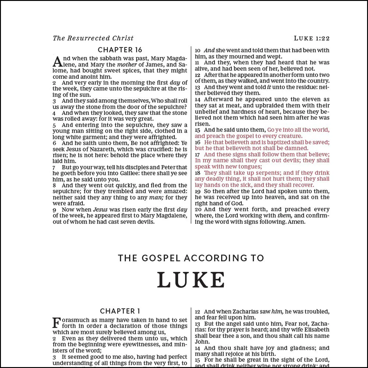 KJV Deluxe Gift Red Letter Edt Turqouise (Comfort Print)(Imitation Leather) - Image 3