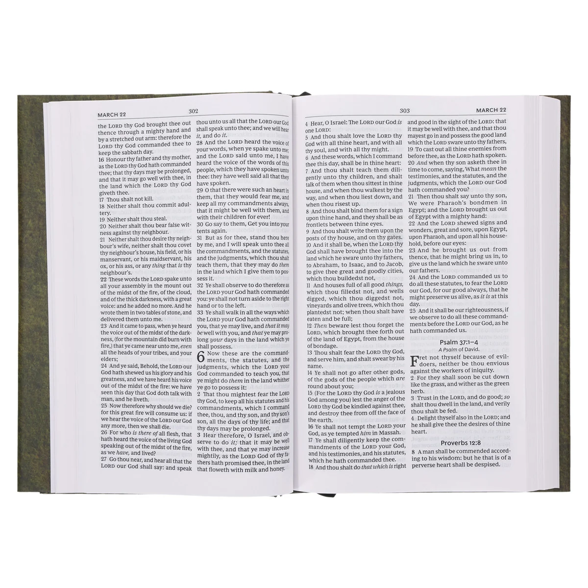 KJV Everyday Bible Red Letter Comfort Print (Hardcover) - Image 5