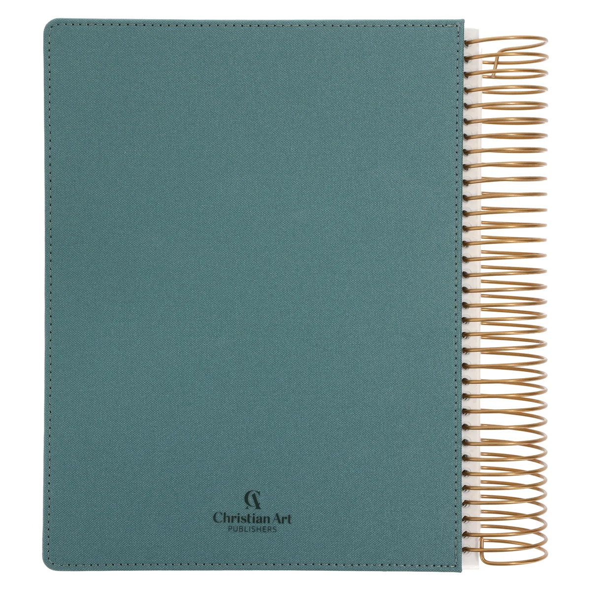 KJV Teal Spiral-Bound Hardcover Linen Cloth My Creative Bible Illustrators Edition - Image 2