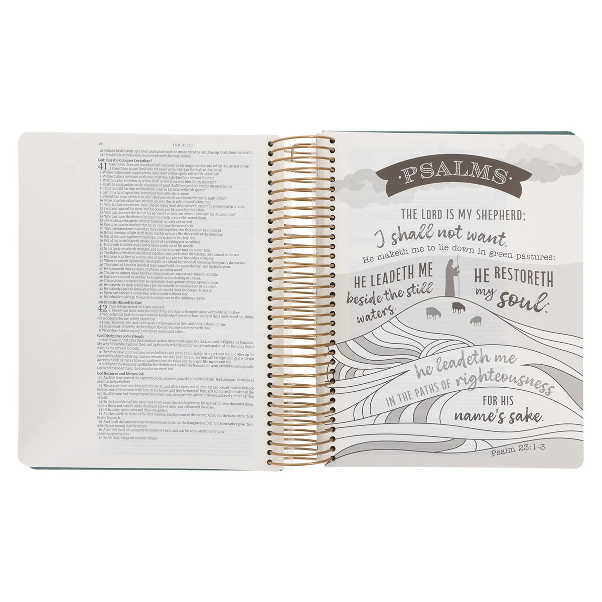 KJV Teal Spiral-Bound Hardcover Linen Cloth My Creative Bible Illustrators Edition - Image 5