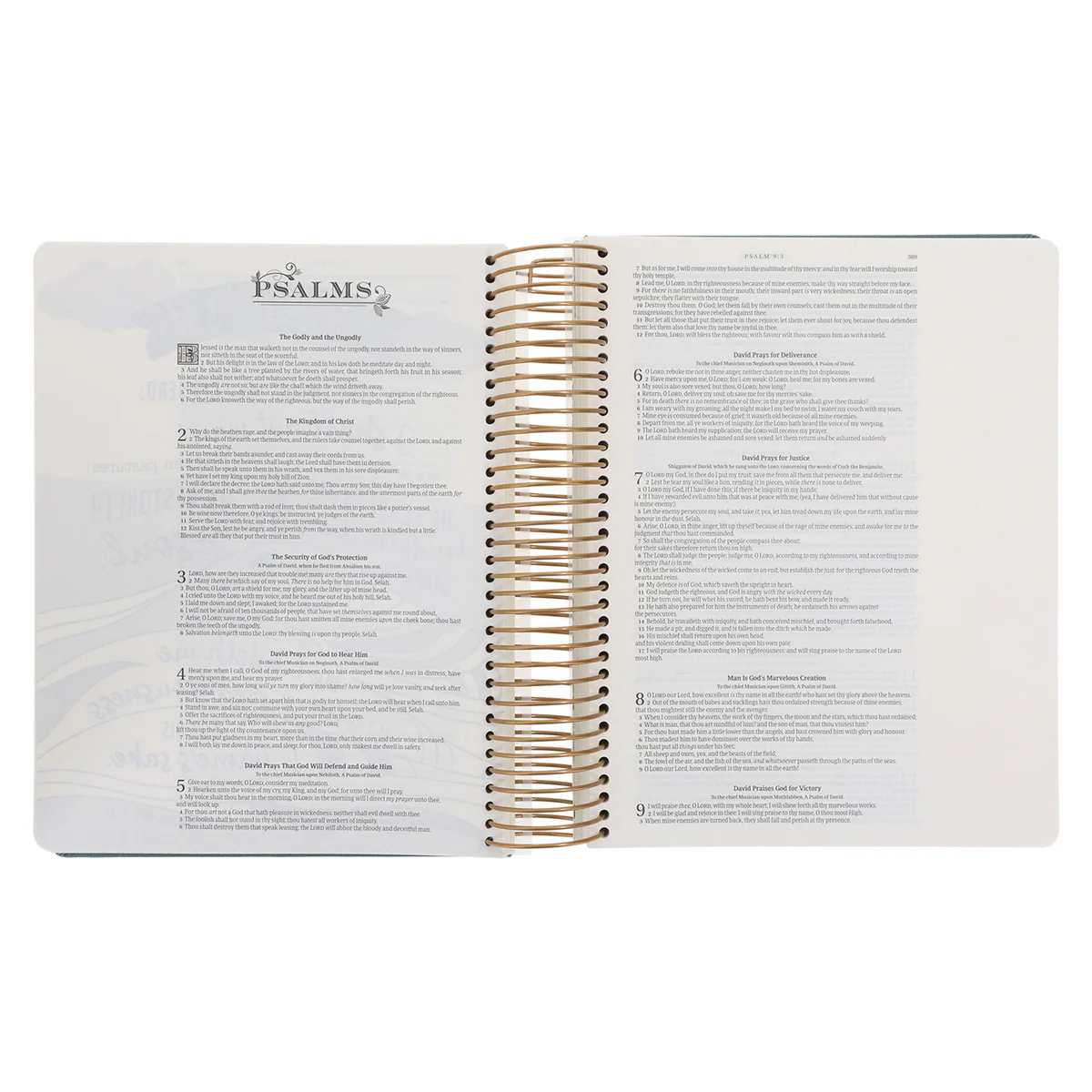 KJV Teal Spiral-Bound Hardcover Linen Cloth My Creative Bible Illustrators Edition - Image 6