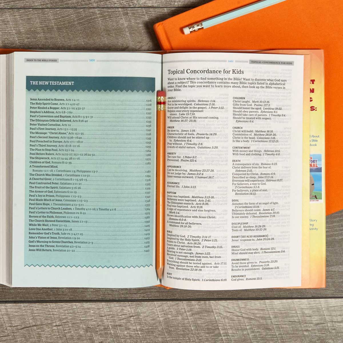 KJV One Big Story Bible (Hardcover) - Image 6