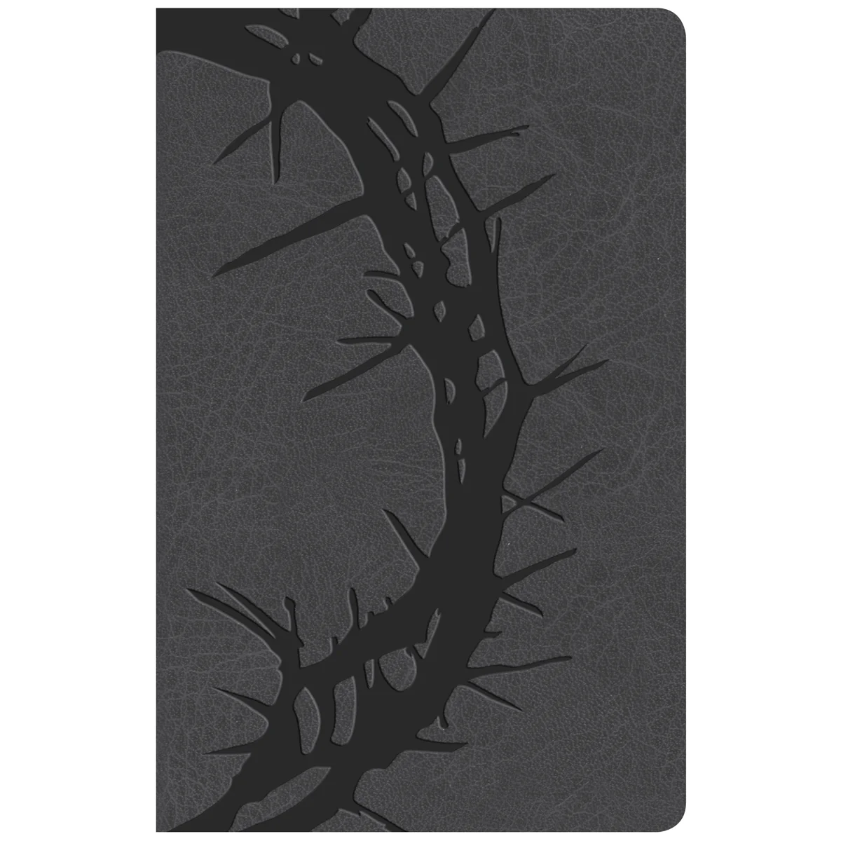 KJV Personal Size Reference Bible Large Print Indexed Charcoal (Imitation Leather)